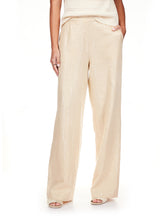 Load image into Gallery viewer, Costal Pant Sequin Stripe