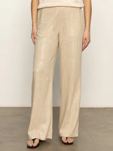 Load image into Gallery viewer, Costal Pant Sequin Stripe
