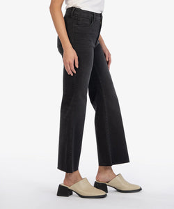 Meg Fab Ab High Rise Wide Leg Jean in Experiences